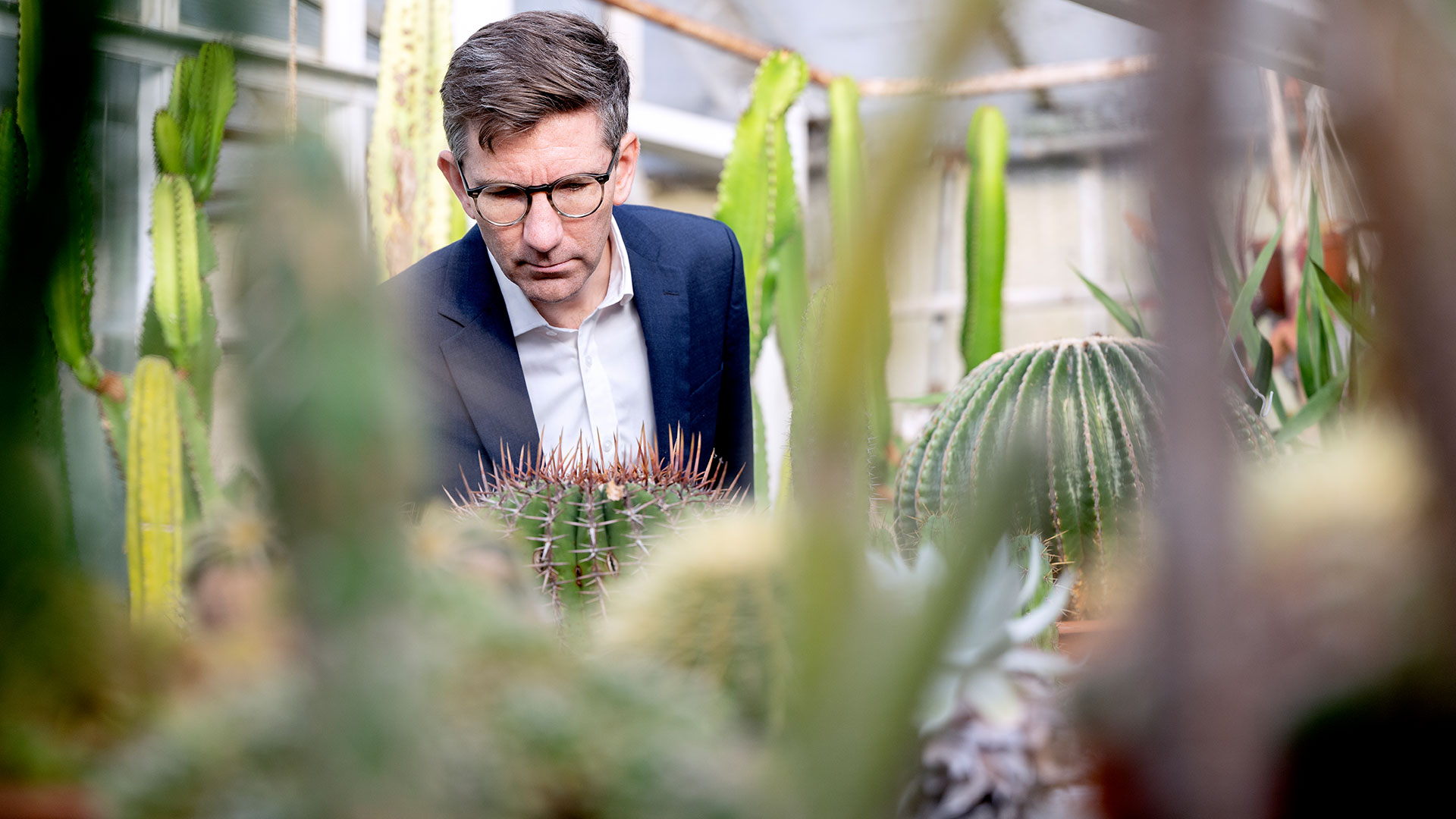 Man studying a cactus close up. Photo: Bax Lindhardt