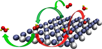 Representation of the PtHg4(110) surface